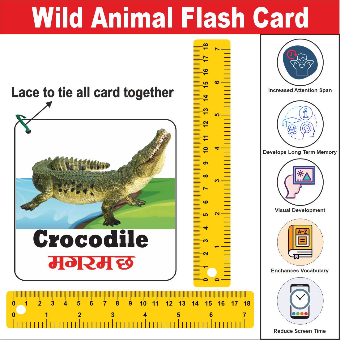 Wooden (MDF) Wild Animals  Learning Flash card with lacing thread.